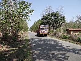 公路,卡车,货车