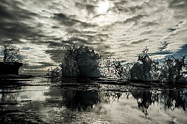 水,海,波