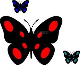蝴蝶,裝潢,甲蟲(chóng)