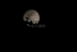 月亮,黑暗,自然