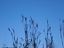 天空,藍色,自然