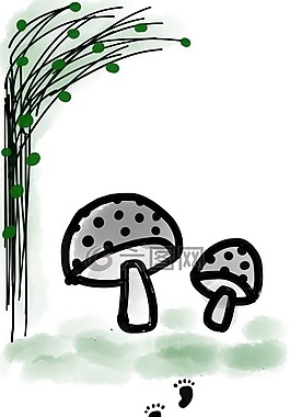 蘑菇,腳印,植物