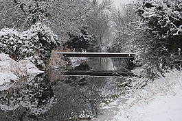 冬天,雪,季节