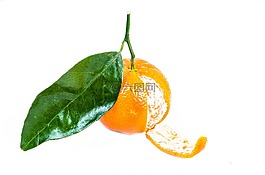 普通話,綠色,白
