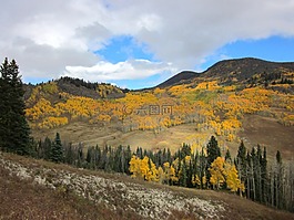 科羅拉多州,山,景觀