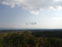 天空,云,秋季樹(shù)葉