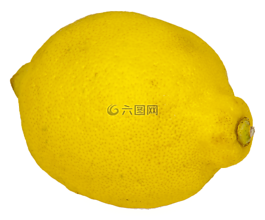 檸檬,孤立,水果