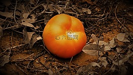 番茄,紅色,食品