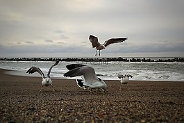早晨,天空,海