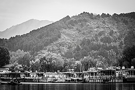 山,黑色和白色,景觀