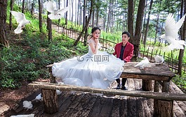 的婚禮,婚禮的照片,天性