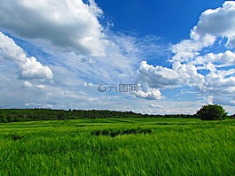 云,性質(zhì),天空