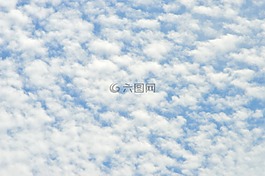 天空,云哥,云羊