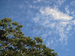 天空,藍(lán)色,云
