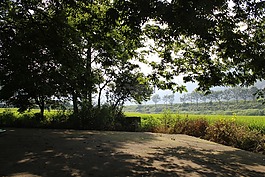 木材,光,背景