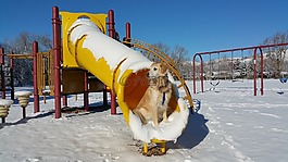 游樂場,冬天,幻燈片