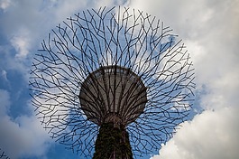 gbtb,gardenbythebay,綠色