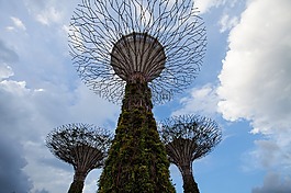 gbtb,gardenbythebay,綠色