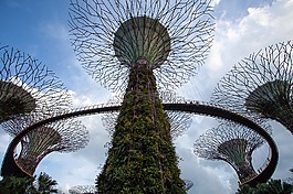 gbtb,gardenbythebay,綠色