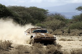 汽車,體育,速度