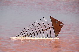 salinne,海,紅色