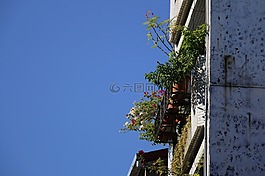 窗臺(tái),植物,天空