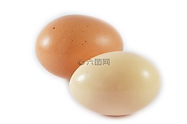 雞蛋,食品,蛋白