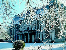 冬天,城堡,雪