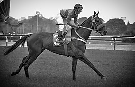 hipódromo 德圣伊西德羅,布宜諾斯艾利斯,阿根廷