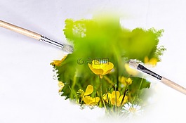 畫筆,戶外,花