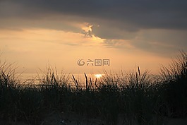 日落,夏季,海滩