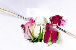 畫筆,戶外,花