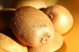 獼猴桃,水果,新西蘭