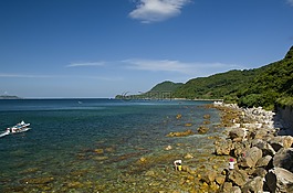 白云,大海,花