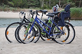 海灘,自行車,活動