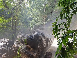 叢林,amzonas,石