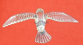 鳥,玻璃,玻璃