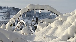 雪,冬天,凍結(jié)的