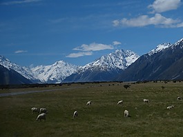 新西蘭,性質(zhì),景觀