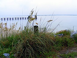 海岸,码头,海滩