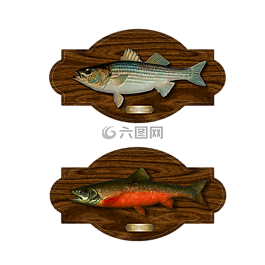 鱼,特劳特,低音
