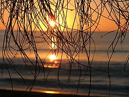 太陽,海,日落