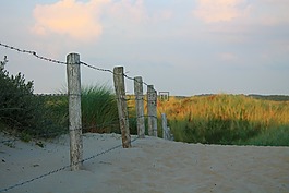 籬笆,鐵絲網(wǎng),沙