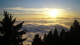 山,日出,樹