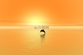 海豚,日落,海
