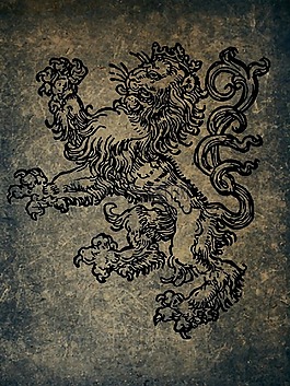 獅子,很奇怪,危險