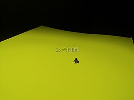 紙,紙疊,堆棧