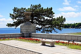 景區(qū),角,vista