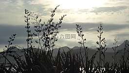 新西兰,格拉泽,景观
