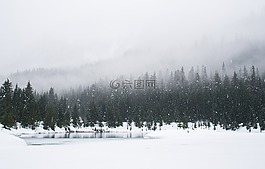 自然,景觀,伍茲
